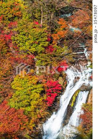 《栃木県》紅葉の霧降ノ滝 35478097