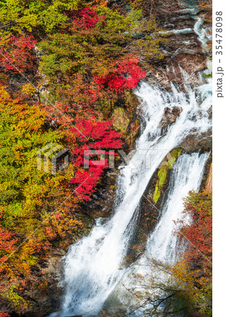 《栃木県》紅葉の霧降ノ滝 35478098