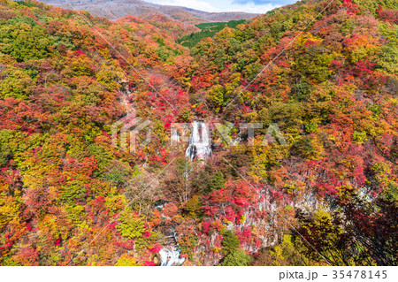 《栃木県》紅葉の霧降ノ滝 35478145