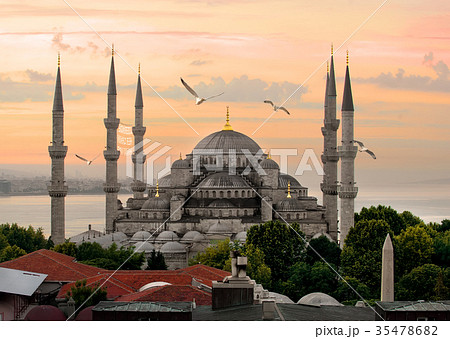 Blue Mosque and Bosphorus 35478682
