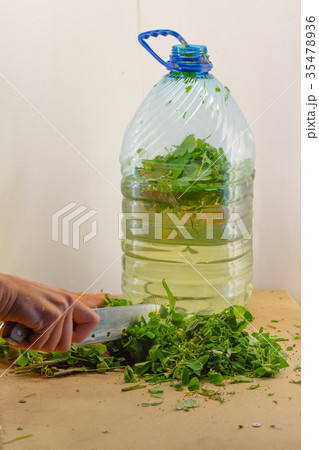 Preparation of natural bio fertilizer organic at 35478936