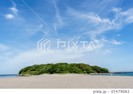 館山市・沖ノ島 35479062