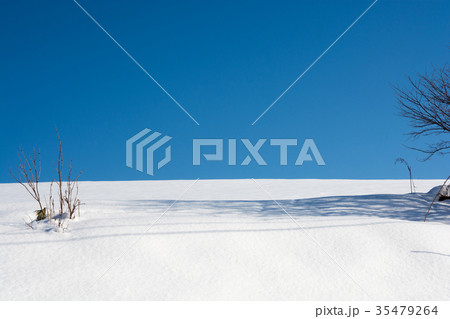 雪原と青空 35479264