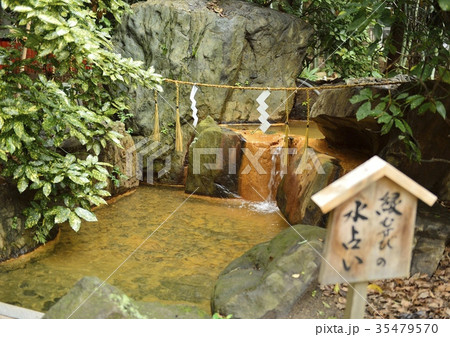 生田神社の水みくじ池の写真素材