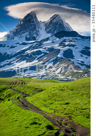 Summer landscape with Ushba mountain snowy peak Summer landscape with Ushba mountain snowy peak 35480111