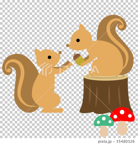 秋イメージ どんぐりとリスのイラスト素材 [35480326] - PIXTA