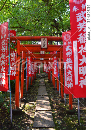 雑司ヶ谷【武芳稲荷神社】赤い鳥居 雑司ヶ谷【武芳稲荷神社】赤い鳥居 35480356