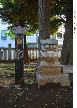 雑司ヶ谷【鬼子母神】境内のフクロウ 雑司ヶ谷【鬼子母神】境内のフクロウ 35480362