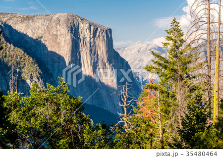 Yosemite National Park Valley summer landscape Yosemite National Park Valley summer landscape 35480464