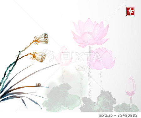 Dry Lotus Seed Heads And Lotus Flowers Onのイラスト素材