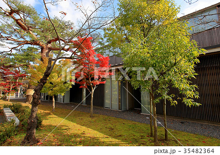 鶴岡市立藤沢周平記念館　紅葉 35482364