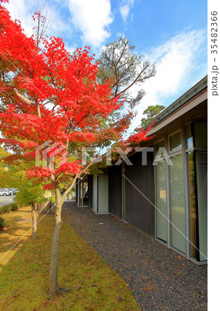 鶴岡市立藤沢周平記念館 紅葉 鶴岡市立藤沢周平記念館 紅葉 35482366