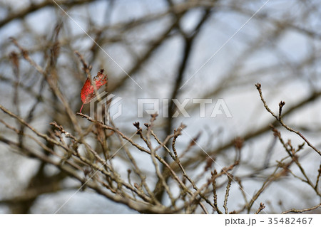 村上駅周辺 35482467