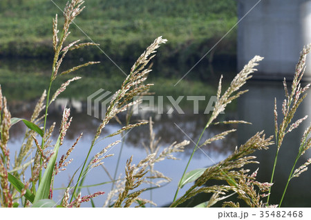 村上駅周辺 村上駅周辺 35482468