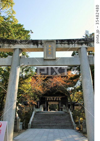 香椎宮の鳥居（福岡市） 35482480