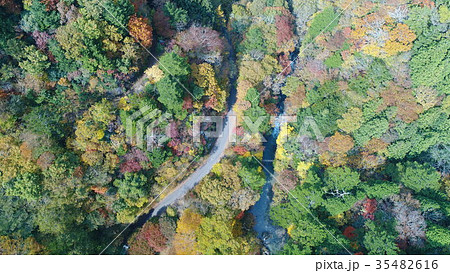 内子町小田深山渓谷の紅葉空撮、色とりどりに 35482616