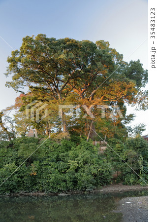 川越城 富士見櫓跡 35483123