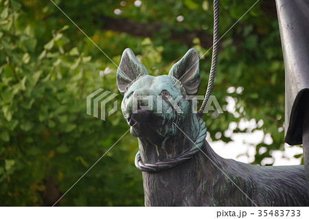 上野公園のランドマーク西郷隆盛像の愛犬 35483733