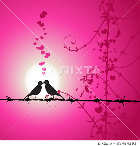 Love, birds kissing on branch 35484293