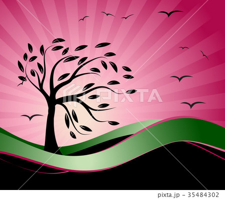 Old tree silhouette, season background 35484302
