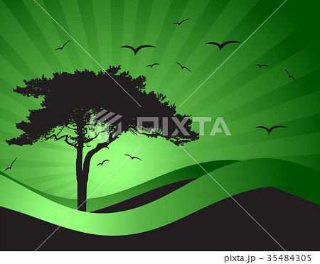 Old tree silhouette, season background 35484305