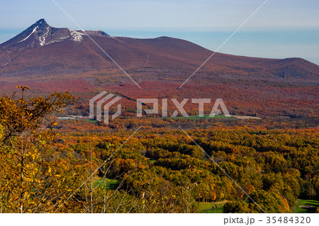 北海道駒ヶ岳と紅葉する樹海 北海道駒ヶ岳と紅葉する樹海 35484320