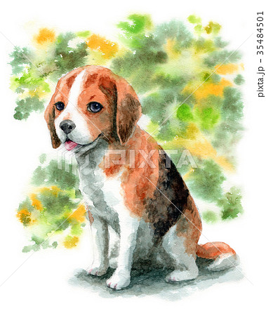 水彩で描いたビーグルの子犬のイラスト素材