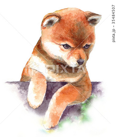 水彩で描いた茶柴の子犬のイラスト素材