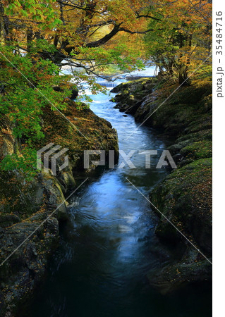 紅葉の弁天島 35484716