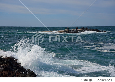 能登の海 35484724