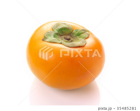 早生富有柿(岐阜県産) 早生富有柿(岐阜県産) 35485281