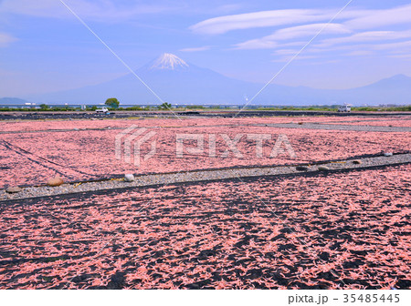 富士川河川敷からの春の風景-9294 35485445