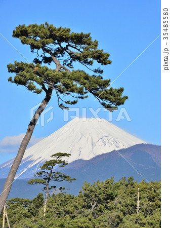 千本松原からの風景-88179 千本松原からの風景-88179 35485580
