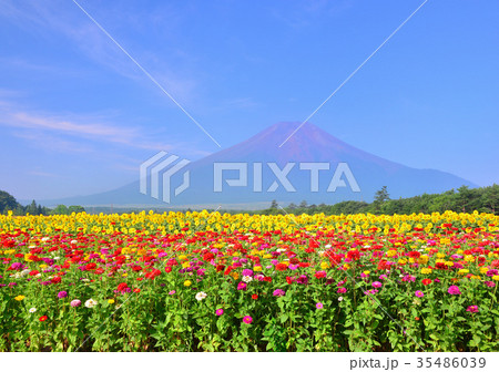 花の都公園からの夏の風景-777762 35486039