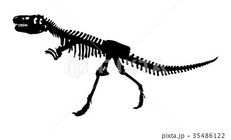 Skeleton of Siamotyrannus isanensis  35486122