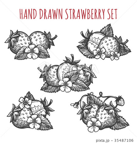 Strawberry sketch icons set Strawberry sketch icons set 35487106