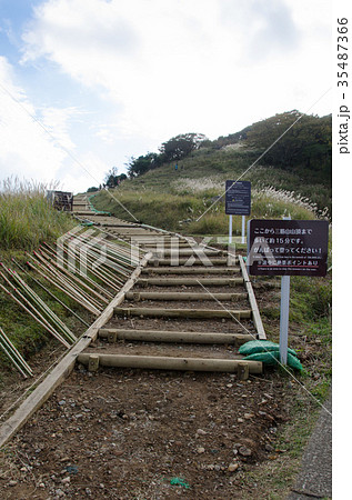 秋の伊豆稲取細野高原三筋山 秋の伊豆稲取細野高原三筋山 35487366