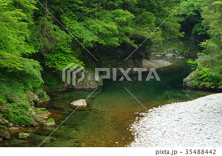 初夏の渓流風景 35488442