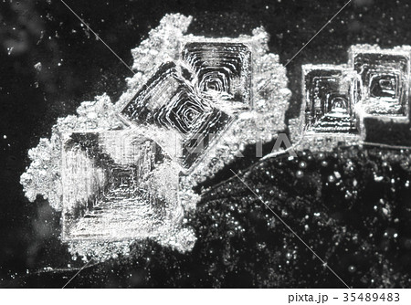 塩（塩化ナトリウム）の結晶ー顕微鏡写真 35489483
