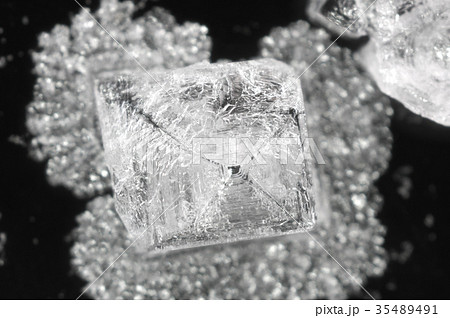 塩（塩化ナトリウム）の結晶ー顕微鏡写真 35489491