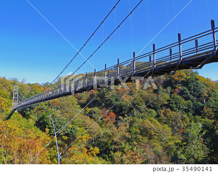 舌震の恋吊橋 舌震の恋吊橋 35490141