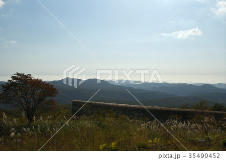 いわかがみ平から雲海・栗原市方面（宮城県） 35490452