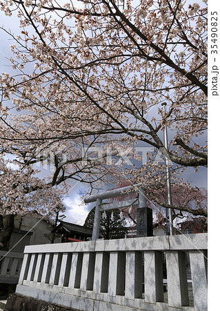 寺社風景（静岡、須走浅間神社、春） 35490825