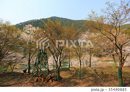 view of mountains and river from the Romantic view of mountains and river from the Romantic 35490885