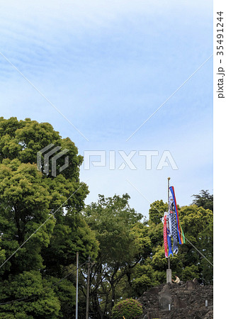 寺社風景(東京、品川神社、春) 寺社風景(東京、品川神社、春) 35491244