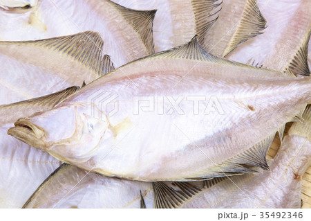 エテカレイ　干物　食材 35492346