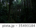 木立 35493184