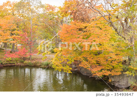 函館・大沼国定公園 函館・大沼国定公園 35493647