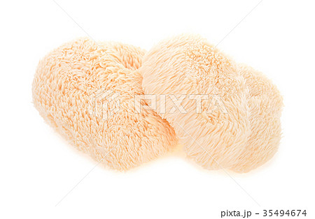 Lion mane mushroom isolated on white background 35494674