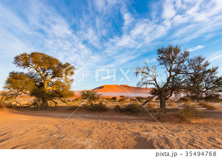 Sossusvlei Namibia 35494768